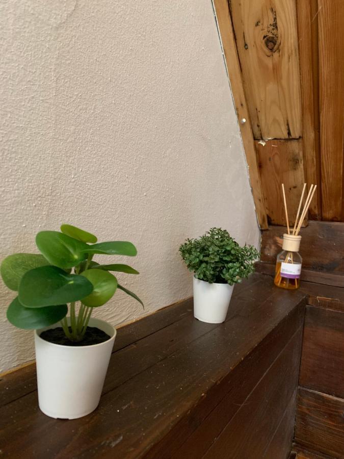 Velencei Vadregenyes Vendeghaz Βίλα Εξωτερικό φωτογραφία